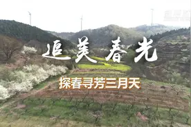 追美春光丨探春寻芳三月天视频封面