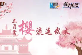 DSP【四季的味道II】三月赏樱，流连武大视频封面