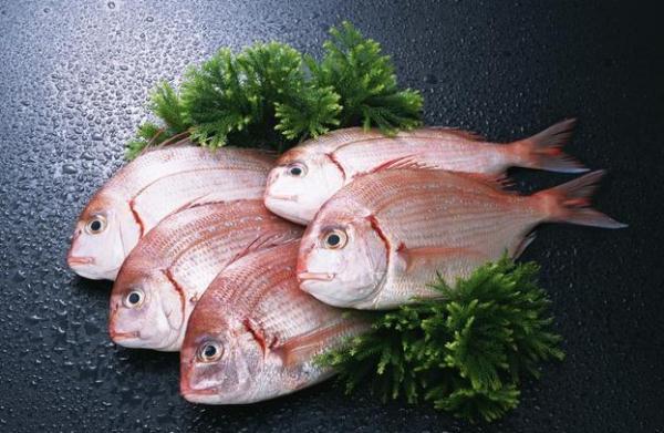 吃什么补卵子最快又好 2026年吃什么东西最补卵蛋