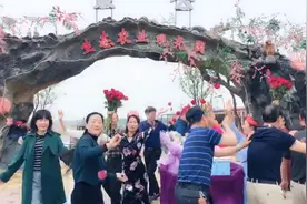 妞妞九儿广场舞《送你一首生日歌》