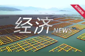 1至8月，上海累计减税降费441.9亿元图片