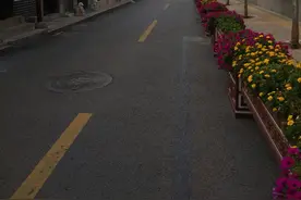 春日路过鞭指巷，遇到一只饱读诗书的鹦鹉图片