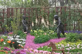 Vlog|世园会日记——处处留心小惊喜，万花之园初体验视频封面