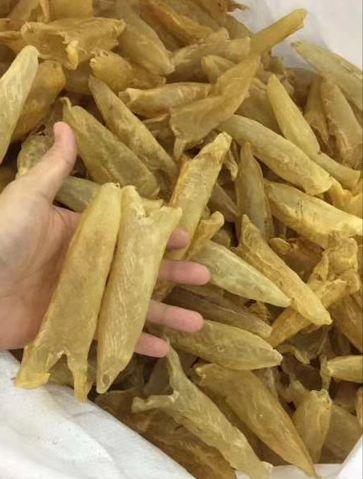 花胶有催奶功效吗 2026年花胶有催奶功效吗百度百科