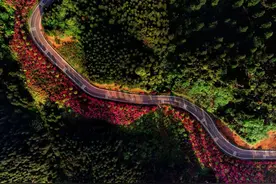 洪雅玉屏山 入选森林体验国家重点建设基地名单视频封面