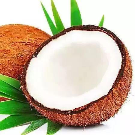 花胶煲鸡椰子 2026年花胶椰子炖鸡