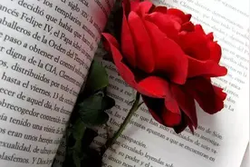 如何应对主力对倒出货？一位血亏老股民深夜熬出千字血泪教训，隐藏多年今日终曝光，拒绝被主力戏弄！图片