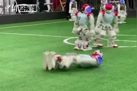 会踢足球的机器人你见过吗？智能机器人上演AI世界杯！视频封面