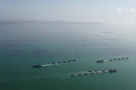 来这里 看海上夏收图视频封面
