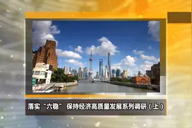 《新华纵横》落实“六稳” 保持经济高质量发展系列调研（上）（半成品）视频封面