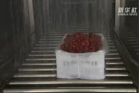 樱桃也“洗澡”？了解一下！视频封面