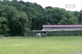 “放飞”丹顶鹤