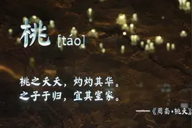 世园会上读《诗经》 品中国古人“花草世界”