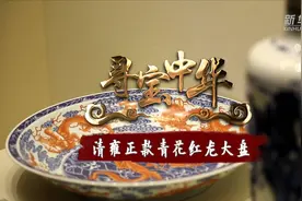寻宝中华丨清雍正款青花红龙大盘视频封面