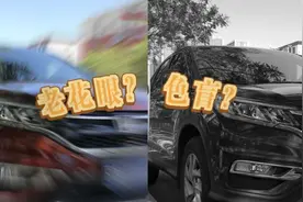 半月谈 | 电子眼变“老花眼”，拍错2万单！北京道路停车电子收费系统亟待完善视频封面