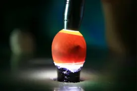 鸟类爱好者看过来！广州长隆开放鸟类繁育中心视频封面