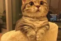 福利｜今夏，实现杨梅自由？10箱特级杨梅免费送到家图片