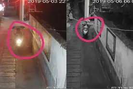 “雌雄大盗“！男子啃老不成 竟拉漂亮老婆入伙盗窃视频封面