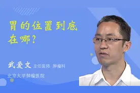 胃的位置到底在哪？