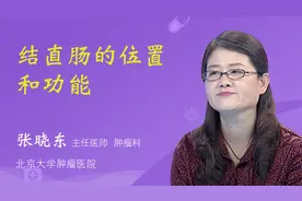 结直肠的位置和功能视频封面