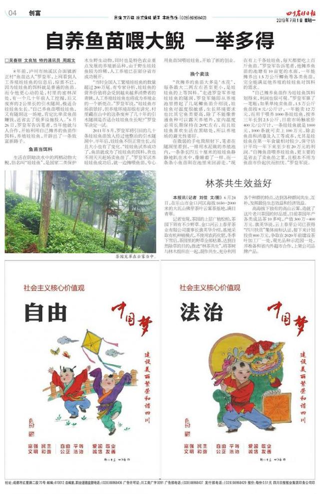 娃娃鱼在家当宠物养有什么忌讳（自养鱼苗喂大鲵 一举多得）