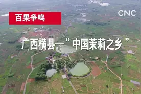广西横县—“中国茉莉之乡 ”视频封面