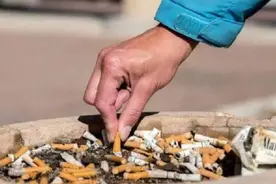 老外靠捡烟头“发家致富”，一年净赚50多万，他是怎么做到的？图片