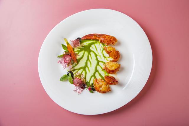 竹笙煲花胶 2026年竹笙花胶炖鸡做法大全