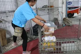 女快递员的夏日“飞驰人生”视频封面