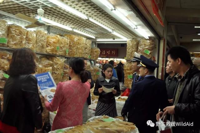 墨西哥花胶的功效 2026年墨西哥花胶的功效与禁忌