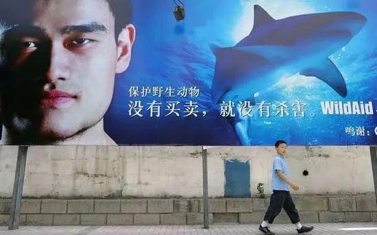 鱿鱼怎样做花胶 2026年鱿鱼怎样做花胶汤