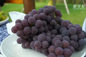 瞧！这里有一场“葡王”争霸赛视频封面