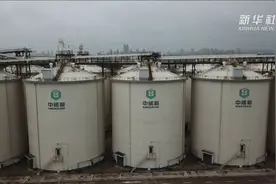 现代化粮储助力粮食安全 探访河南“大个子”储粮仓