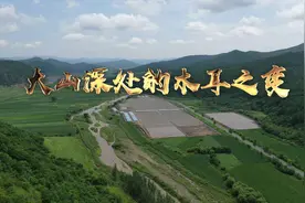 共和国发展成就巡礼｜大山深处的木耳之变视频封面
