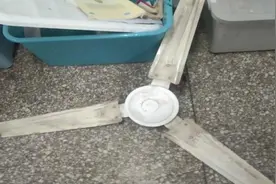 教室吊扇突然掉落，高三学生受伤