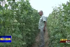 【视频】三重工作进行时：党支部领办合作社 抱团发展强村富民视频封面