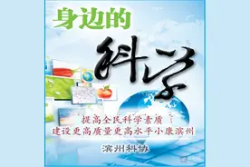 火车跑得快 全靠车头带？高铁动车有话要说......图片
