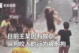 狗主人遛狗不栓绳还故意纵狗咬人，已被刑拘