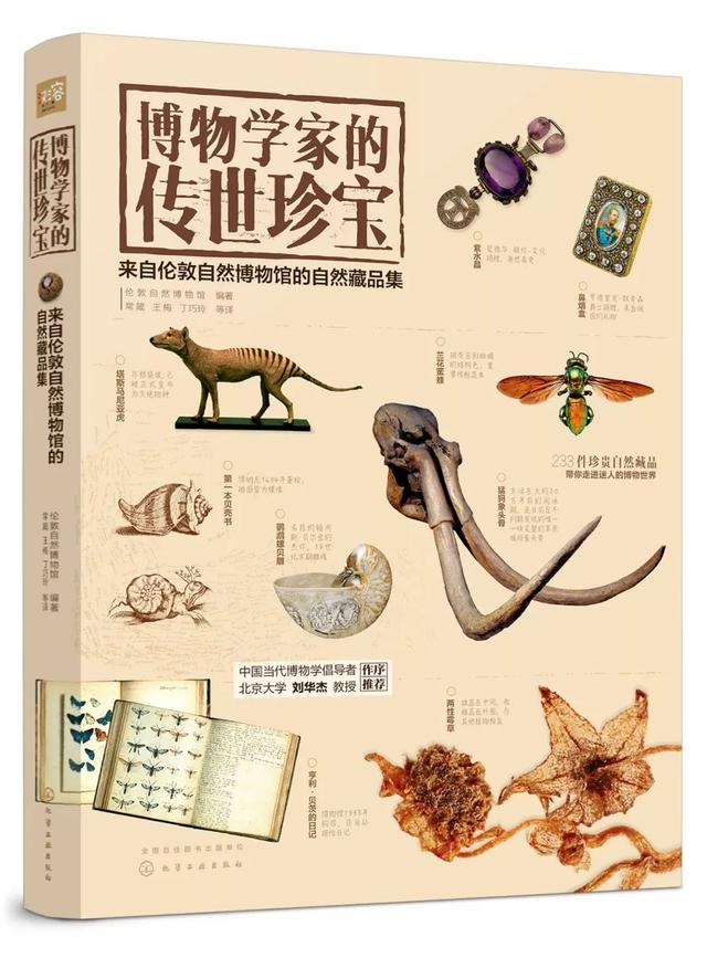 2025年10月 第204页