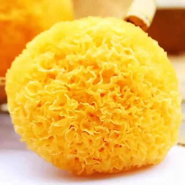 牛奶花胶性味 牛奶花胶是什么