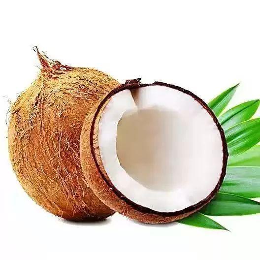 椰子花胶糖水 2026年椰子花胶汤