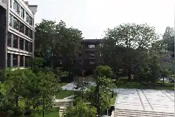 青山不改焕新颜，央媒聚焦广州从化探索超大城市乡村振兴之路视频封面