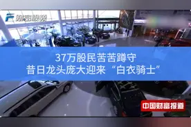 【中国财富报道】37万股民苦苦蹲守，昔日龙头庞大迎来“白衣骑士”视频封面