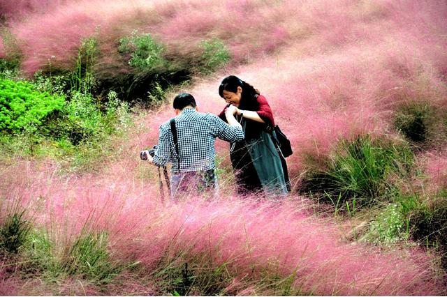 限时抢购 || 绵阳国际兰花园1大1小门票仅19.9元！2大1小门票仅29.9元~