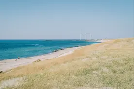 储能招标丨中核内蒙古100MW、200MW光储发电项目投标方案编制询价图片