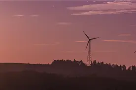 垃圾回收明星企业小黄狗破产重整成功图片