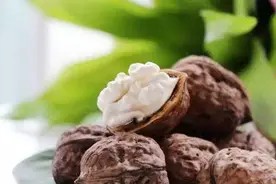 秋天的美食不止核桃山楂板栗柿子，还有秋分后的蝎子最肥美图片