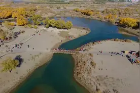 内蒙古胡杨林预计10月6日进入最佳观赏期