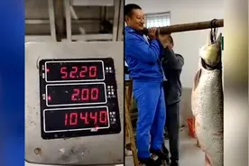 丹江口渔民捕获超大鱤鱼：重上百斤视频封面