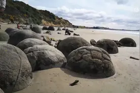 新西兰摩拉基圆石视频封面